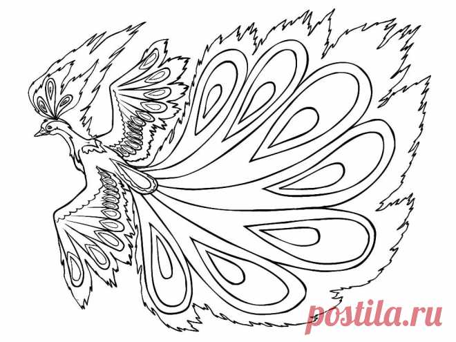 рисуем павлина карандашом: 13 тыс изображений найдено в Яндекс.Картинках