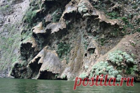 Водопад Рождественское дерево (Чиапас, Мексика) - Путешествуем вместе