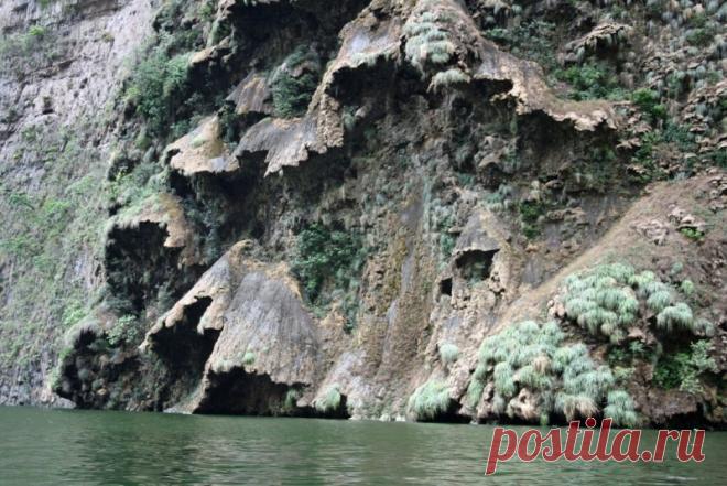 Водопад Рождественское дерево (Чиапас, Мексика) - Путешествуем вместе