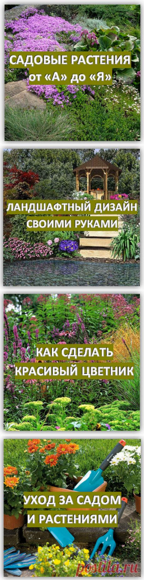 сайт = Красивые идеи для сада