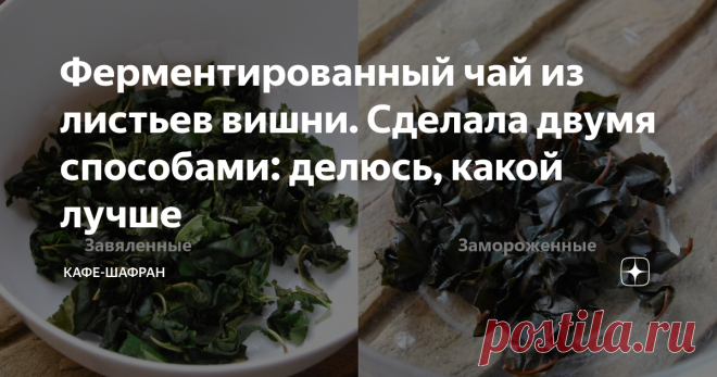Ферментированный чай из листьев вишни. Сделала двумя способами: делюсь, какой лучше