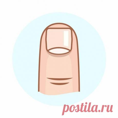 6 вещей, которые можно узнать о себе по форме ногтей
Каждый человек обладает своей особенной формой ногтей: у кого-то они широкие и квадратные, у кого-то очень узкие или маленькие. У всех разные. Но вы и не догадывались, сколько они могут о вас рассказать. Известный нигерийский ученый при написании своей исследовательской работы согласился, что природная форма ногтей, как и отпечатки пальцев,...
Читай пост далее на сайте. Жми ⏫ссылку выше
