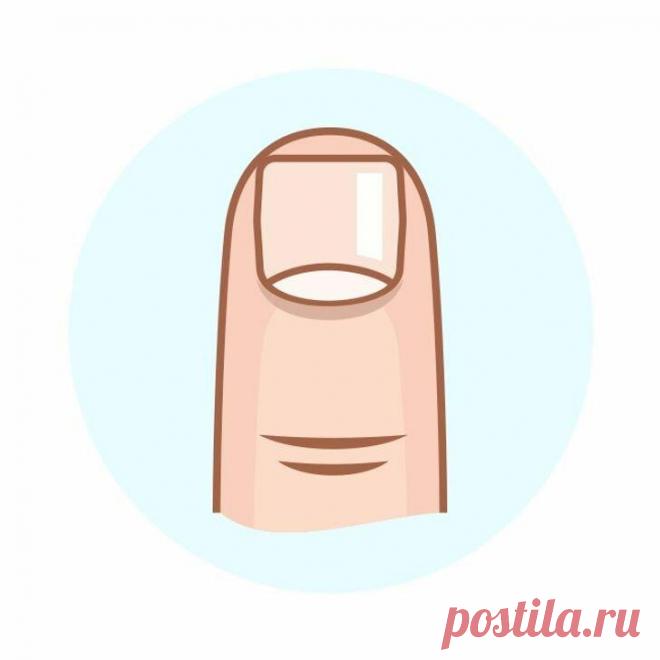 6 вещей, которые можно узнать о себе по форме ногтей
Каждый человек обладает своей особенной формой ногтей: у кого-то они широкие и квадратные, у кого-то очень узкие или маленькие. У всех разные. Но вы и не догадывались, сколько они могут о вас рассказать. Известный нигерийский ученый при написании своей исследовательской работы согласился, что природная форма ногтей, как и отпечатки пальцев,...
Читай пост далее на сайте. Жми ⏫ссылку выше