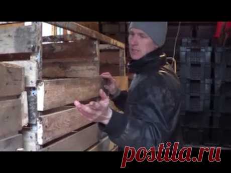 АТ89 Восторг. Всплеск эмоций. Новый ящик для червей Старатель. Калифорнийские черви.