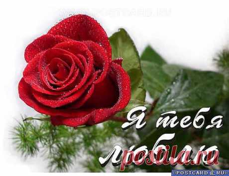 СПАСИБО!
✟† ✟KAREN✟† ✟ ✟† ✟✟HAYRAPETYAN✟✟†✟33●✰