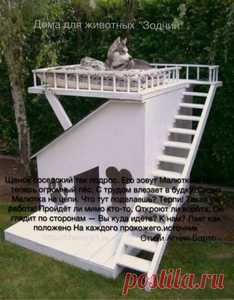 Щенок соседский так подрос. Его зовут Малюткой, Но он теперь огромный пёс, С трудом влезает в будку. Сидит Малютка на цепи. Что тут поделаешь? Терпи! Такая уж работа! Пройдёт ли мимо кто-то, Откроют ли ворота, Он глядит по сторонам — Вы куда идёте? К нам? Лает как положено На каждого прохожего. Стихи Агнии Барто