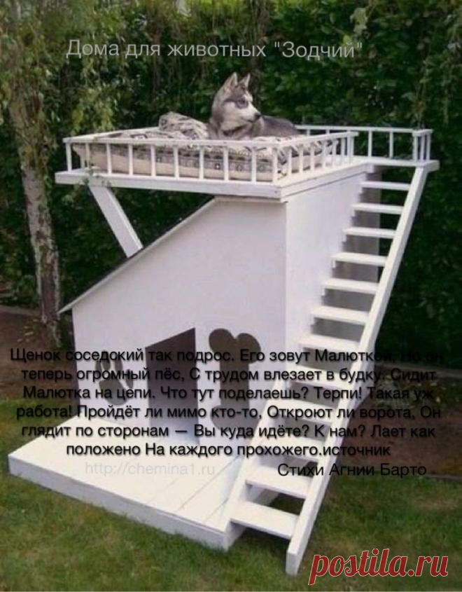 Щенок соседский так подрос. Его зовут Малюткой, Но он теперь огромный пёс, С трудом влезает в будку. Сидит Малютка на цепи. Что тут поделаешь? Терпи! Такая уж работа! Пройдёт ли мимо кто-то, Откроют ли ворота, Он глядит по сторонам — Вы куда идёте? К нам? Лает как положено На каждого прохожего. Стихи Агнии Барто