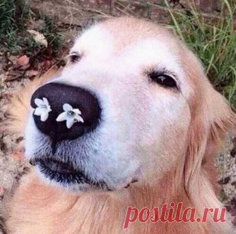 (56) Фитнес для мозга - Публикации