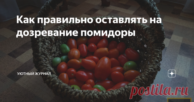 Как правильно оставлять на дозревание помидоры К сожалению, в нашем климате, когда холода не прекращаются, достаточно сложно дождаться созревания помидоров на ветке.