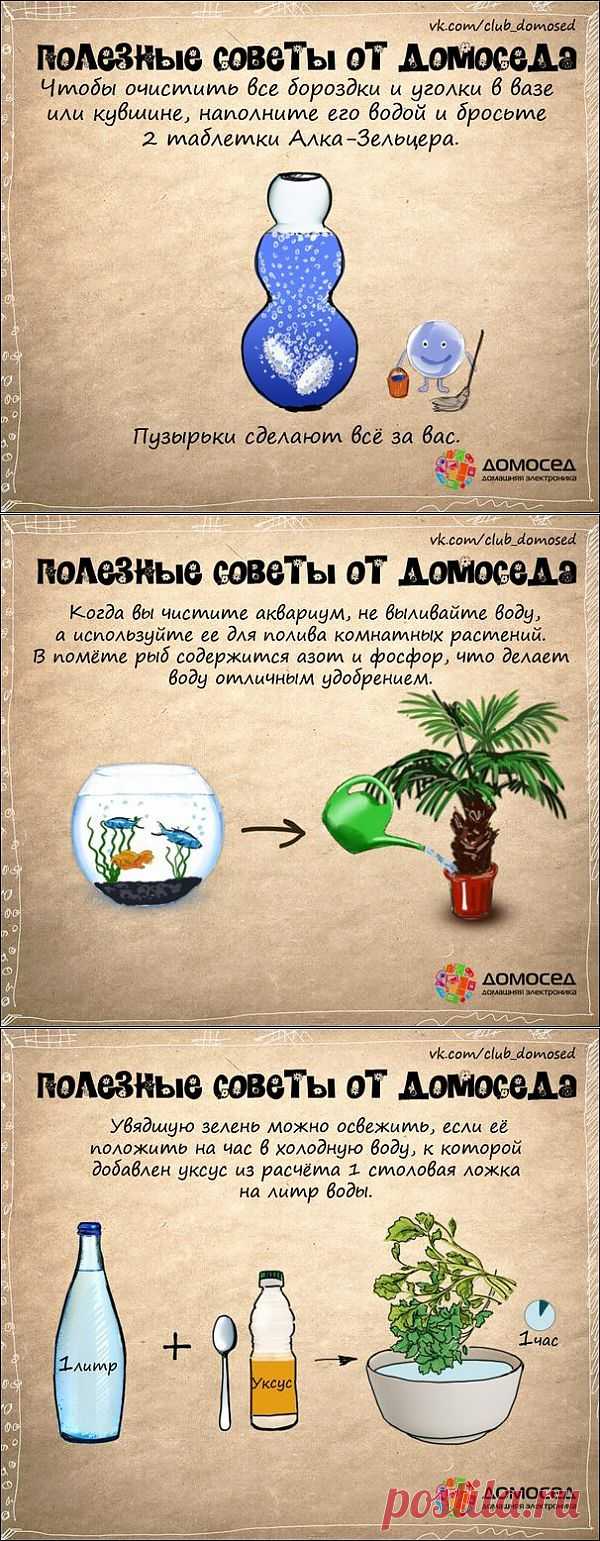 Хозяйке на заметку: полезные советы