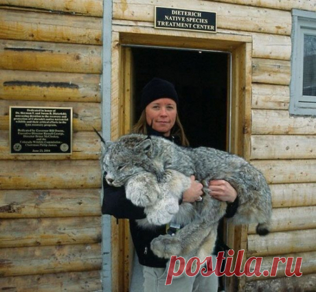 Лучшие фото 2014 / Всё самое лучшее из интернета