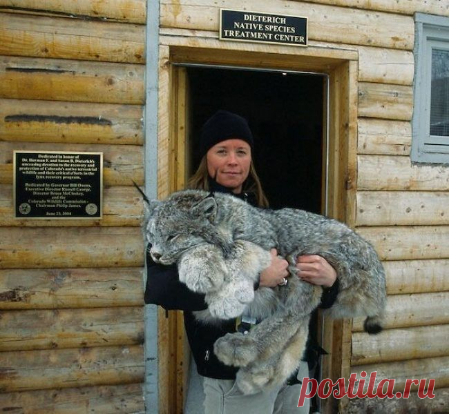 Лучшие фото 2014 / Всё самое лучшее из интернета