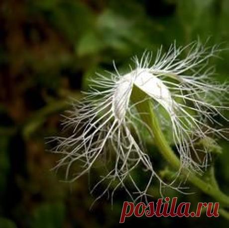 55 аэрофотографий о том, что наша планета самая красивая