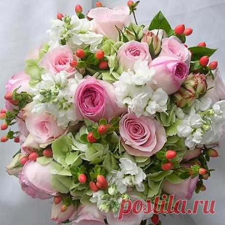 Ирина Королева