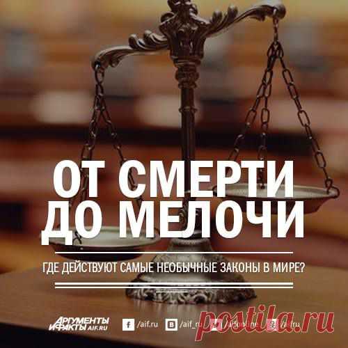 Facebook
Во Франции существует запрет на поцелуи на вокзалах, а в Бельгии нельзя играть в снежки. В Великобритании беременная женщина по закону имеет право облегчиться в любом месте, где ей заблагорассудится. Мы собрали самые удивительные законы в мире: http://www.aif.ru/society/law/1368048