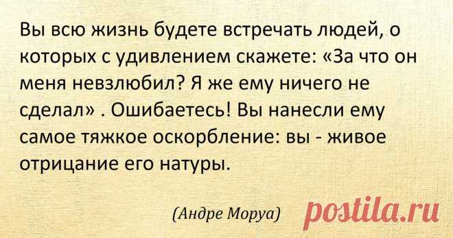 Как надо вести себя с теми, кто вас не любит: смешной ответ от Владимира Жириновского | Игра в Блог | Дзен