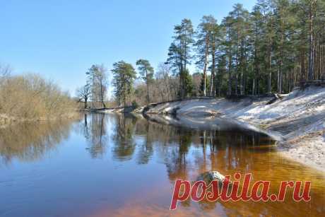 Река Луга