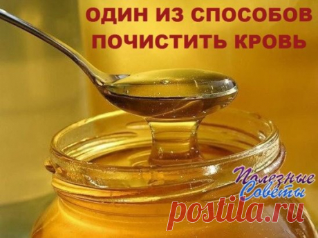 ОДИН ИЗ СПОСОБОВ ПО ЧИСТИТЬ КРОВЬ
На 1 стакан воды (холодной) - 5 капель йода, 1 ст.л. меда, 1 ст.л. яблочного (виноградного) уксуса. Все хорошо размешиваем. Пьем 2 стакана в день: 1-й утром в 6 часов, и до 12 не кушаем! Потом можно есть все, что хотите и любите! 2-й стакан в 22 часа (т.е. вечером) и после этого тоже уже не кушаем! Все.
На вкус это больше напоминает просто стакан сока! Пропить желательно месяц, при этом очищается кровь, лимфотическая система вся, уходят пр...