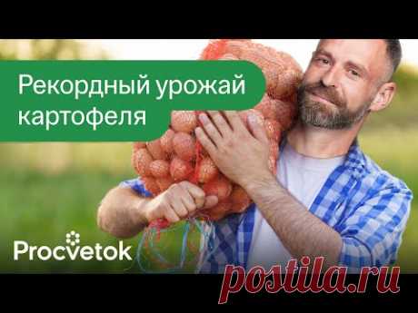 ЖАЛЕЮ, ЧТО РАНЬШЕ ТАК НЕ САЖАЛ КАРТОФЕЛЬ! 3 новых способа посадки для огромного и раннего урожая