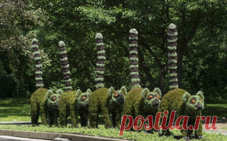 Выставка зеленых скульптур в Канаде Садоводческое соревнование Mosaicultures Internationales de Montreal предлагает вашему вниманию более 40 трехмерных скульптур. Они были созданы двумя сотнями художниками-садоводами из Европы, Азии, Северной и Южной Америки, Ближнего Востока и Африки. Скульптуры сделаны путем тщательного...