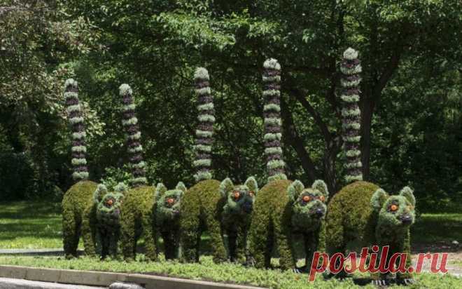 Выставка зеленых скульптур в Канаде Садоводческое соревнование Mosaicultures Internationales de Montreal предлагает вашему вниманию более 40 трехмерных скульптур. Они были созданы двумя сотнями художниками-садоводами из Европы, Азии, Северной и Южной Америки, Ближнего Востока и Африки. Скульптуры сделаны путем тщательного...