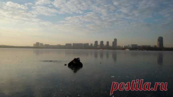 Сплошной и невероятно толстый и прочный ледостав в Москве на Строгинском озере/Троице-Лыковской пойме днем 22 нов. Фото: Кирилл Конкин. / Социальная погода