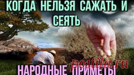 Когда нельзя сажать и сеять Народные приметы для садоводов - огородников Дачные советы