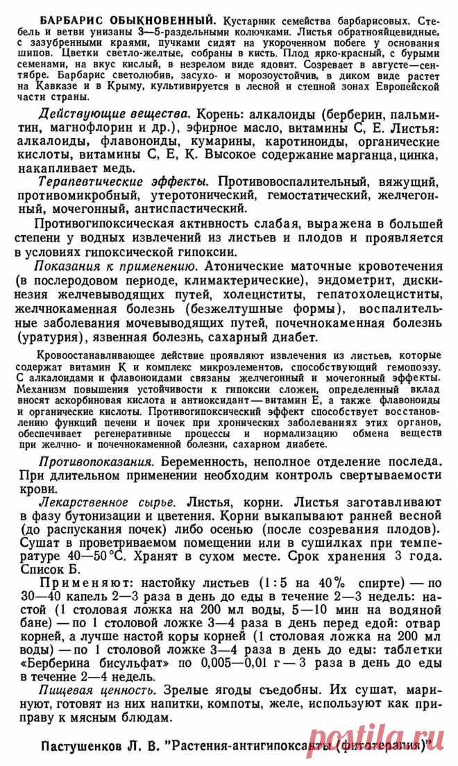Барбарис обыкновенный