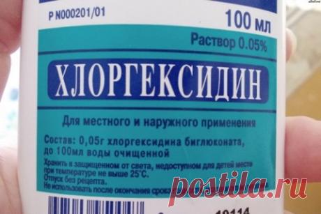Целительная сила ботвы моркови