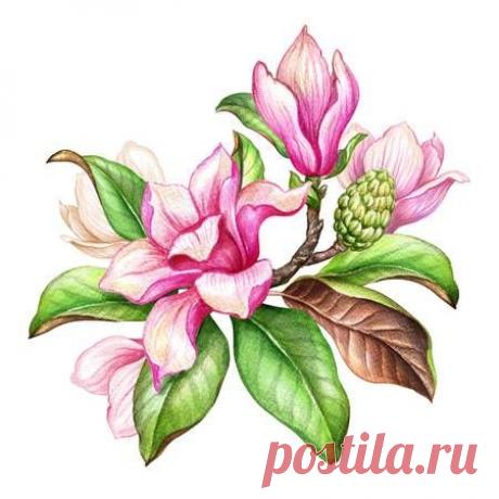 123RF - Миллионы стоковых фото, векторов, видео и музыки для Ваших проектов.