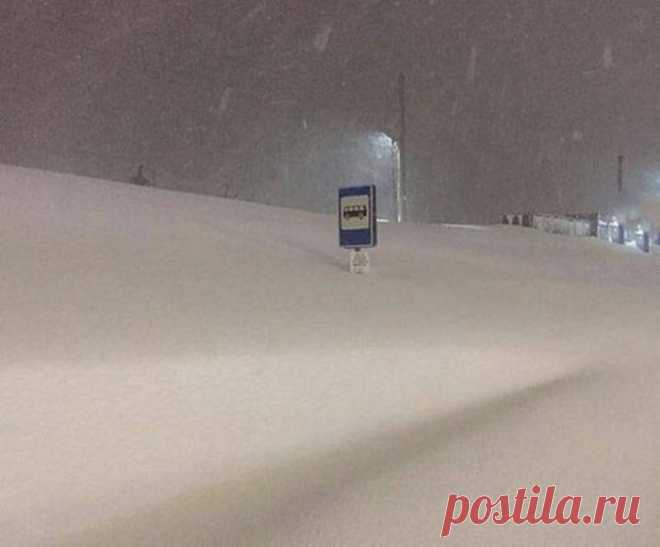 «Зима — это прекрасно!» , — думал я, пока не посмотрел эти фотографии - А вот и остановочка, осталось откопать автобус