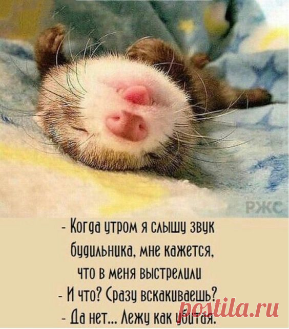 Читаю сейчас у одного мужика в статусе.. -