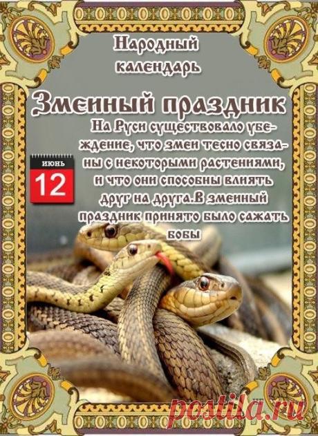 С днем Змеевика! Желаю, чтобы никакие жизненные «змеи» и невзгоды не вставали у вас на пути, а дом был надежной и уютной крепостью! Открытки на Змеиный праздник!