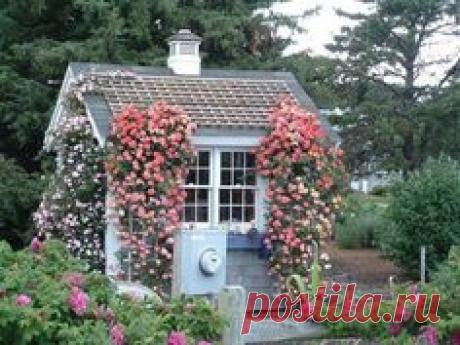Pinterest: инструмент для поиска и хранения интересных идей