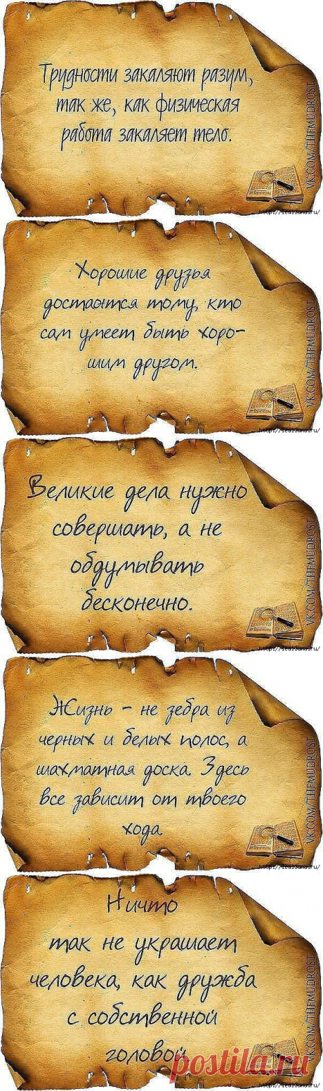 (+1) тема - Мудрые мысли | НАРОДНЫЕ ПРИМЕТЫ