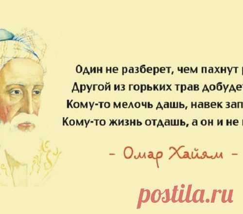 15 лучших афоризмов Омара Хайяма – мудрость через века