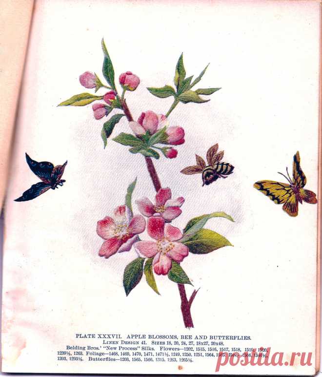 Belding Brothers XXXVII 1900's