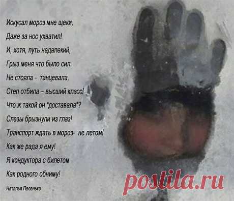 В мороз (Наталья Песенько) / Стихи.ру - национальный сервер современной поэзии
