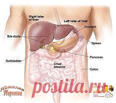 ПЕЧЕНЬ, СИМПТОМЫ ЕЕ ЗАБОЛЕВАНИЙ И ЛЕЧЕНИЕ..
