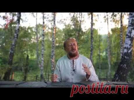 Русская Школа Русского Языка. Аты баты шли солдаты. Недетский урок. Урок 9. Виталий Сундаков.