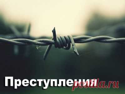 Жестоко убили беременную. Обнимашки с одноклассником. С пистолетом и деньгами. По уровню самоубийств... - 7 Октября 2016 - Russia-Asia-Siberia