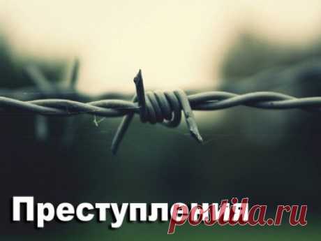 Жестоко убили беременную. Обнимашки с одноклассником. С пистолетом и деньгами. По уровню самоубийств... - 7 Октября 2016 - Russia-Asia-Siberia