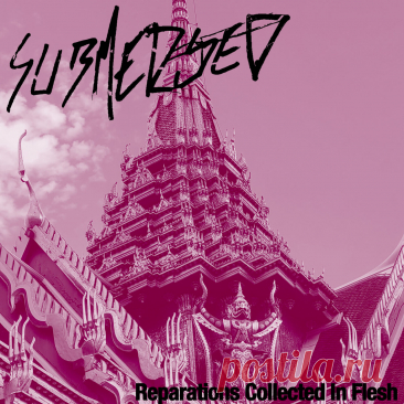 Submerged - Reparations Collected In Flesh (2025) 320kbps / FLAC