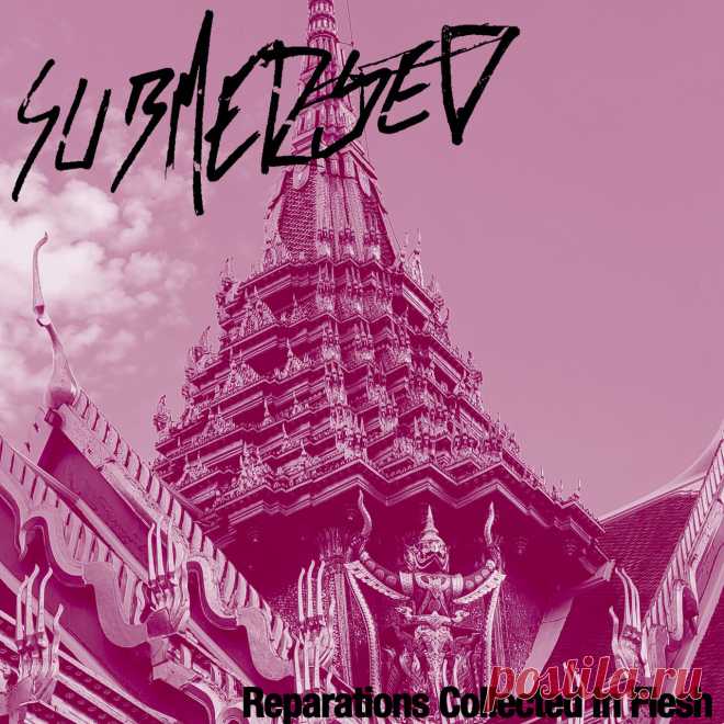 Submerged - Reparations Collected In Flesh (2025) 320kbps / FLAC