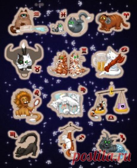 Как выбрать домашнего питомца по гороскопу? | Гороскопы