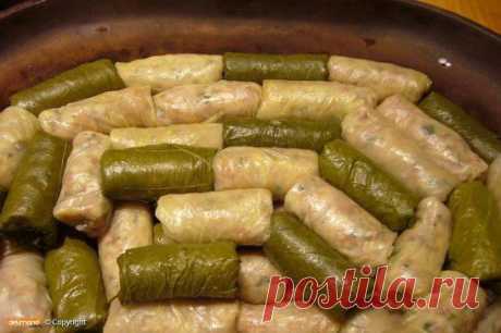 10 ВКУСНЫХ РЕЦЕПТОВ ГОЛУБЦОВ
