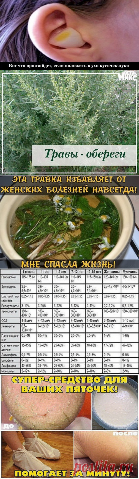 (2) Одноклассники