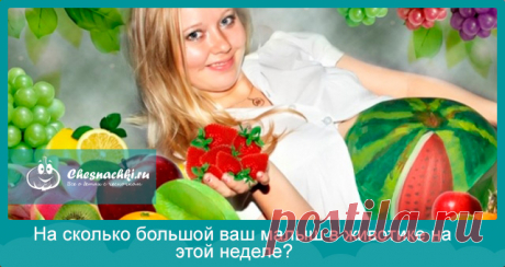 На кого похож ваш малыш в животе на этой неделе: маковое зернышко или дынька?