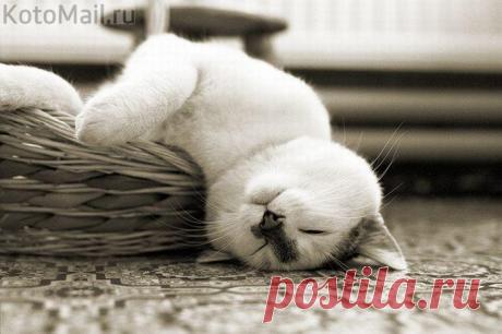 Как сладок сон!