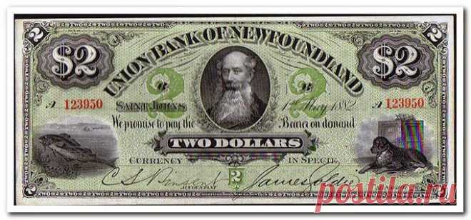 Здоровье: Нумизматика